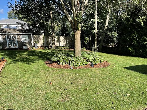 A lawn in Massachusetts