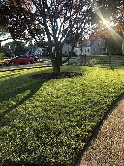 A lawn in Hamden, CT