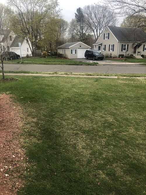 A lawn in Hamden, CT