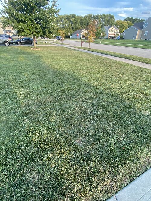 A lawn in Monroe, OH