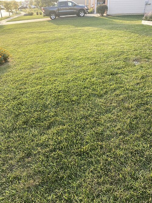 A lawn in Monroe, OH