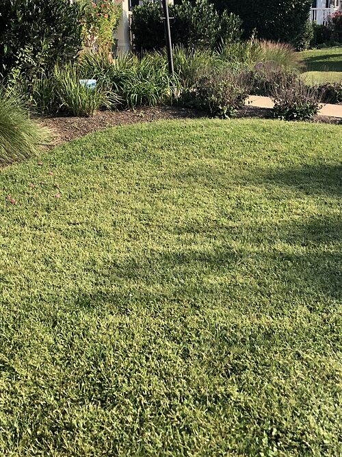 A lawn in Lovettsville, VA