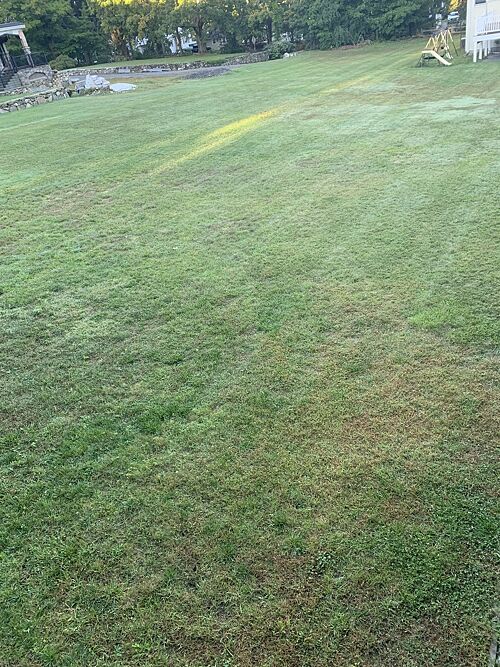 A lawn in Massachusetts