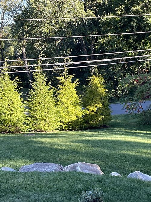 A lawn in The Berkshires, MA
