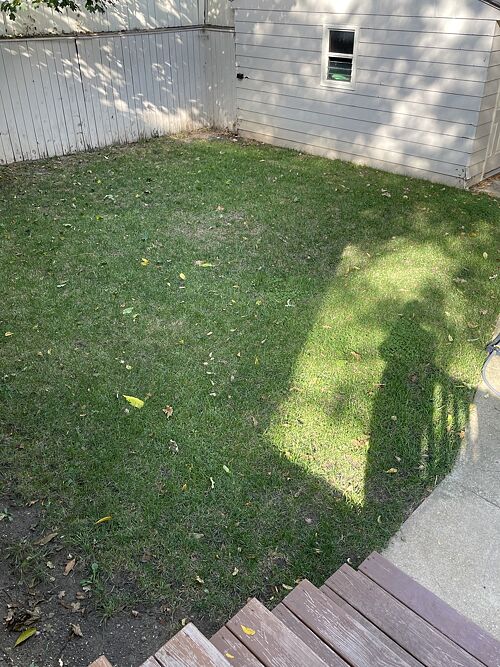 A lawn in Rockford, IL