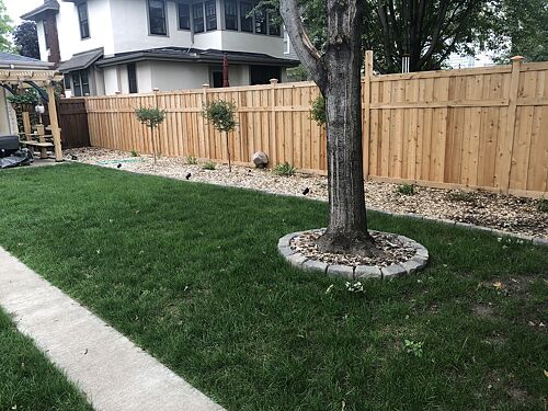 A lawn in Saint Paul, MN