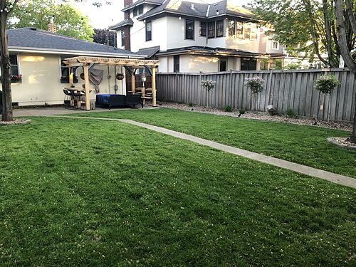 A lawn in Saint Paul, MN