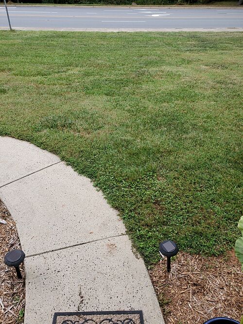 A lawn in Hickory, NC