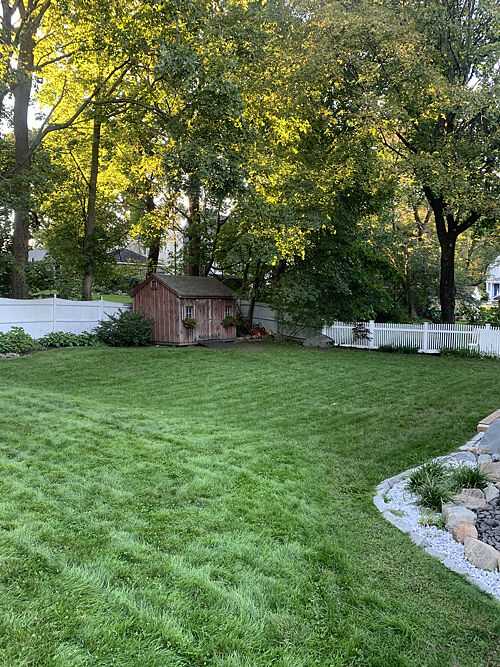 A lawn in Reading, MA