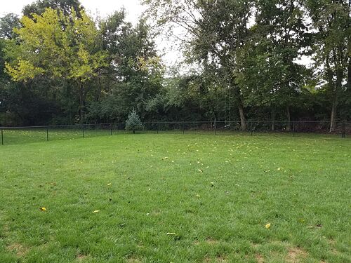 A lawn in Indianapolis, IN