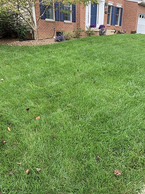 A lawn in Frederick, MD