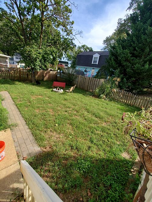 A lawn in Annapolis, MD