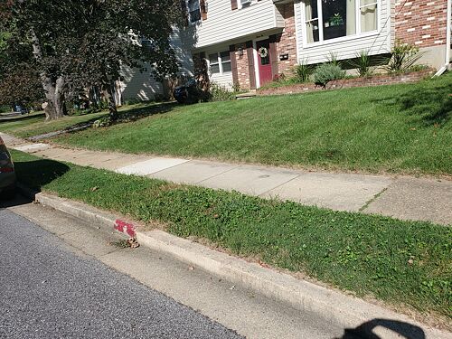 A lawn in Annapolis, MD