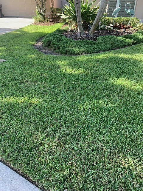 A lawn in Orlando, FL