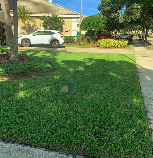 A lawn in Orlando, FL