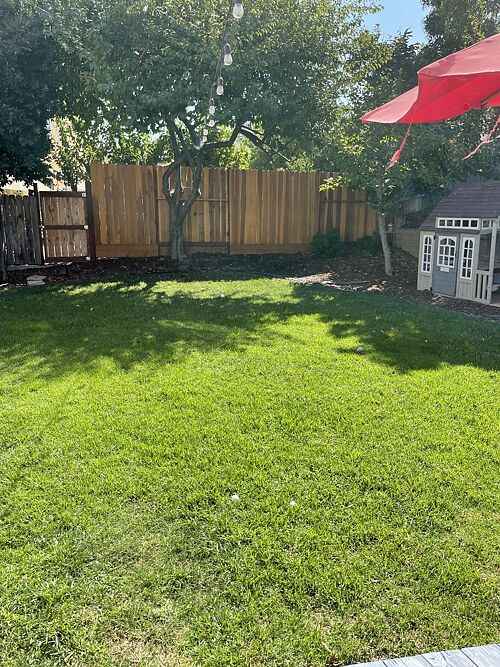 A lawn in San Luis Obispo, CA