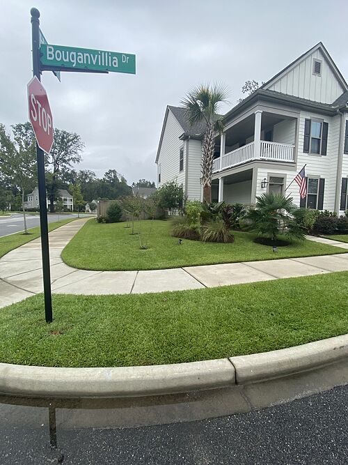 A lawn in Johns Island, SC