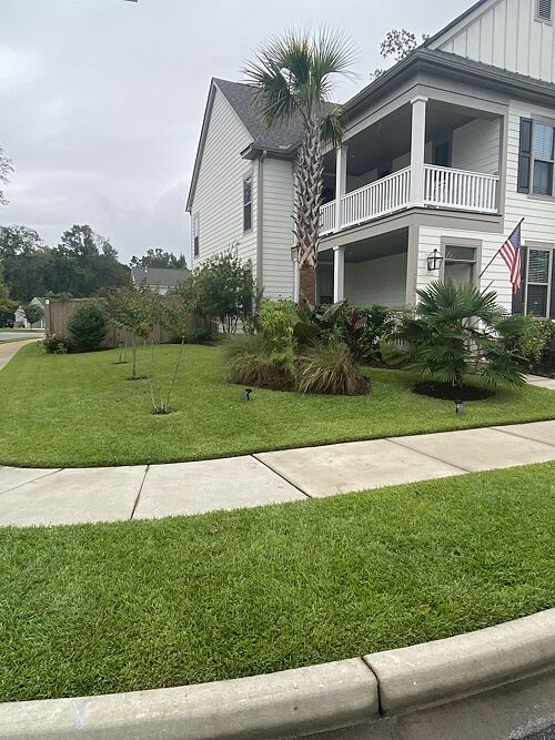 A lawn in Johns Island, SC