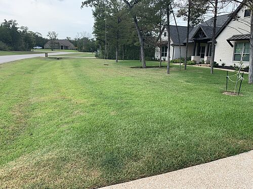A lawn in College Station, TX