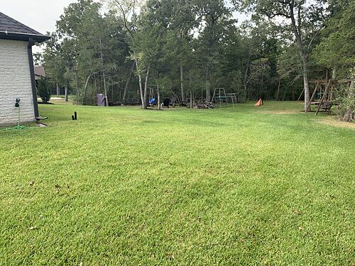 A lawn in College Station, TX