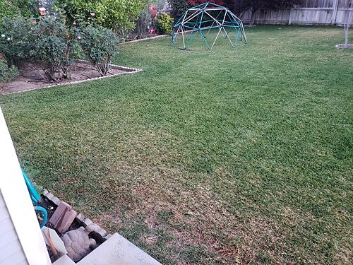 A lawn in Riverside, CA