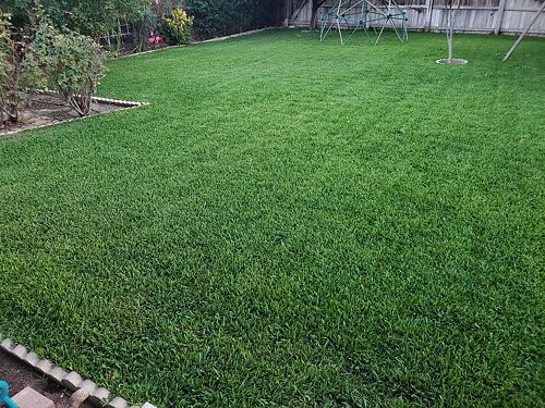 A lawn in Riverside, CA