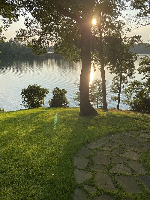 A lawn in GA
