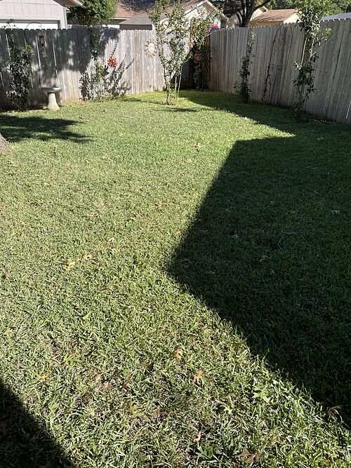 A lawn in San Antonio