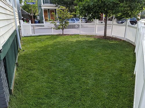 A lawn in Somerville, MA