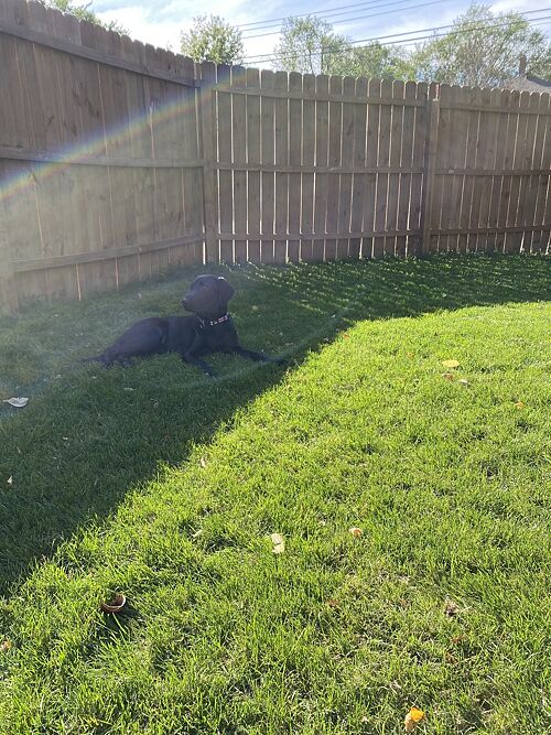 A lawn in Fargo, ND