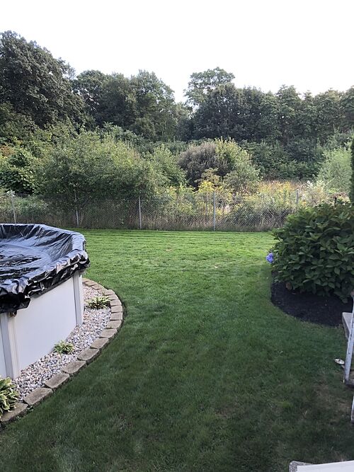 A lawn in Massachusetts
