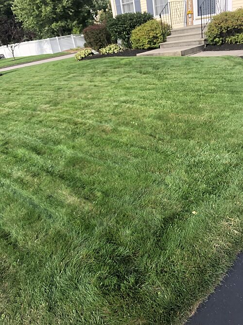 A lawn in Massachusetts