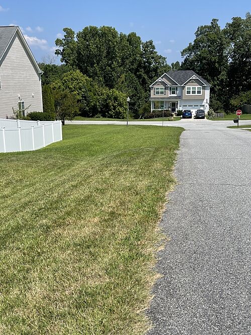 A lawn in North Carolina, NC