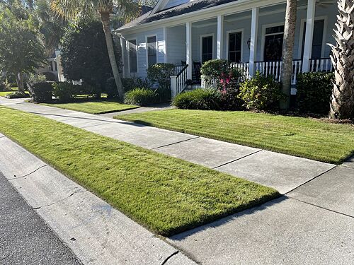 A lawn in Charleston, SC