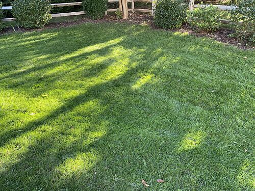 A lawn in Warrenton, VA