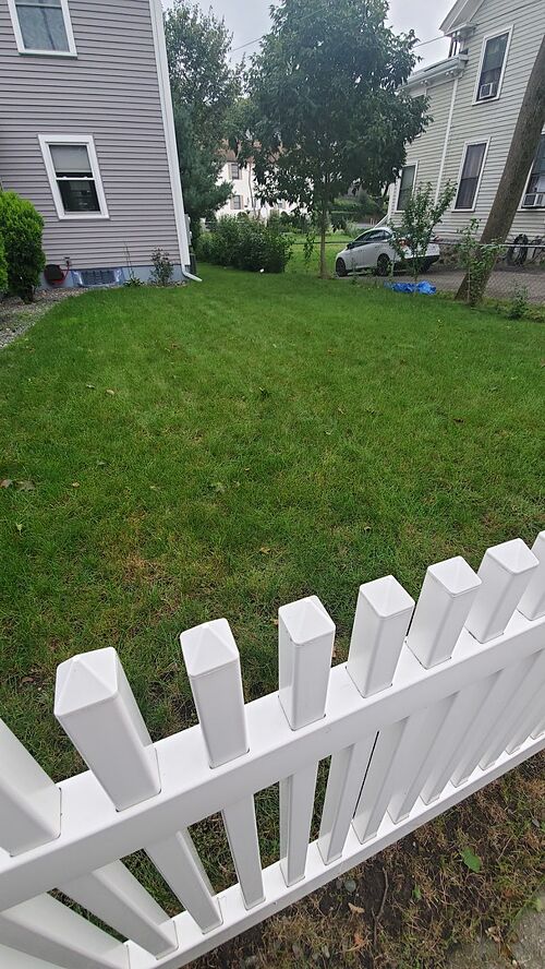 A lawn in Massachusetts