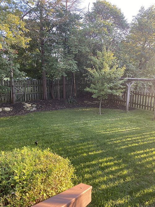 A lawn in Columbus, OH