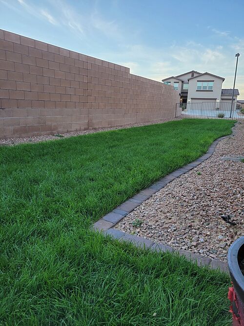 A lawn in Rio Rancho, NM