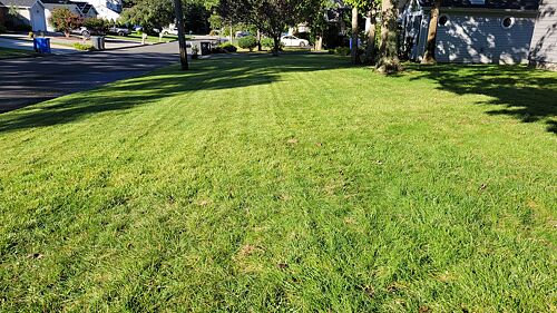 A lawn in New Jersey, NJ