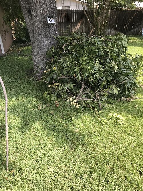 A lawn in Waco, TX