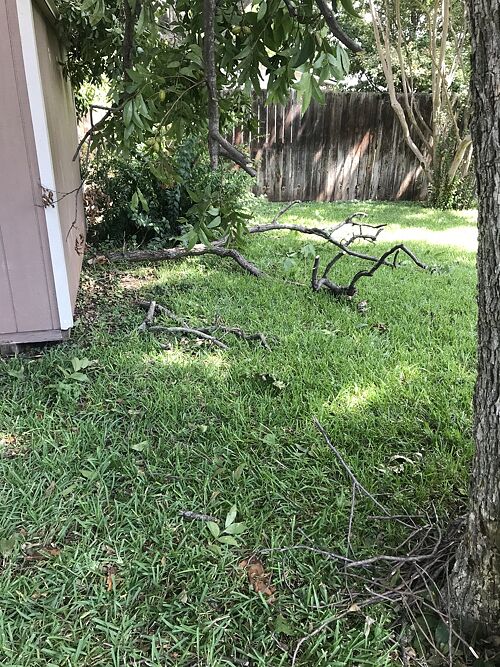 A lawn in Waco, TX