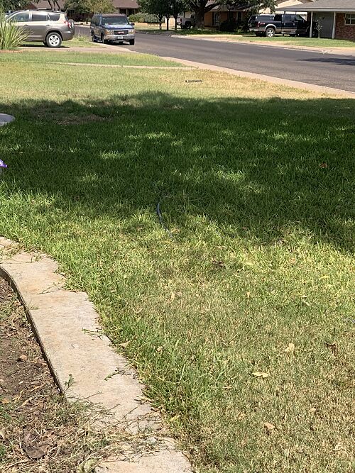 A lawn in Odessa, TX