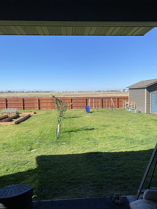 A lawn in Bozeman, MT