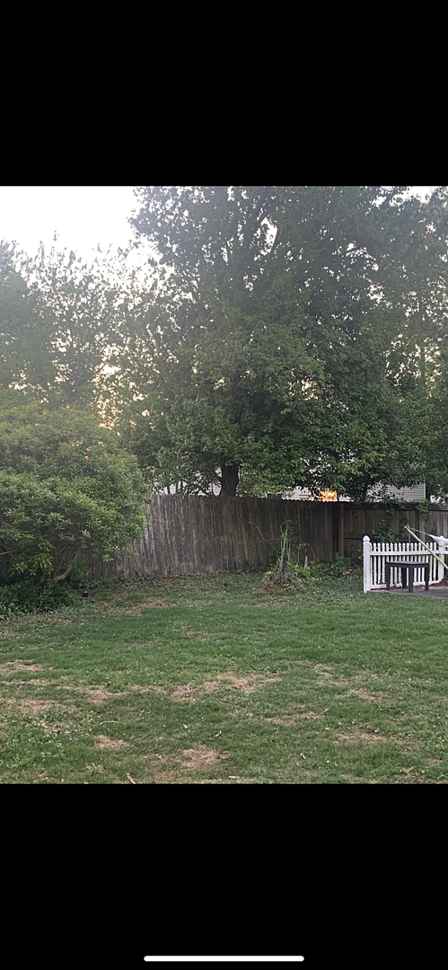 A lawn in Wilmington, NC