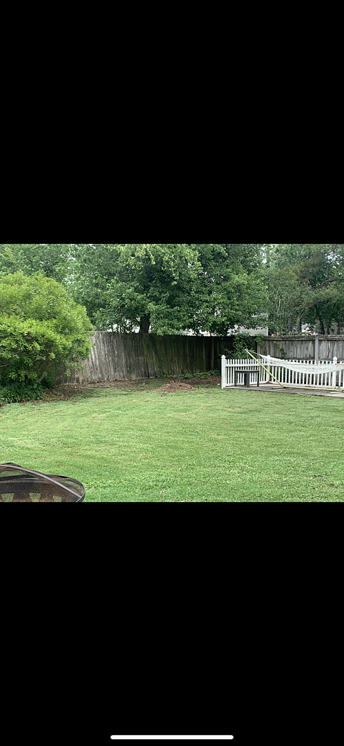 A lawn in Wilmington, NC