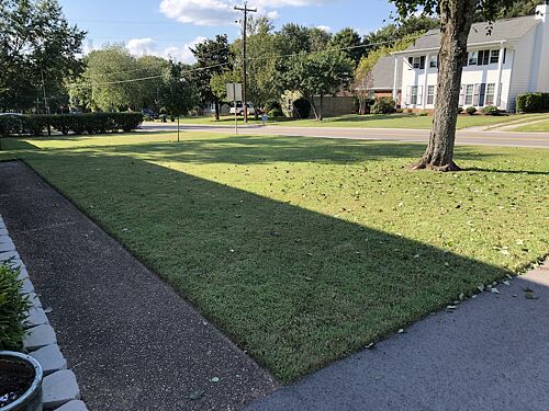 A lawn in Nashville, TN