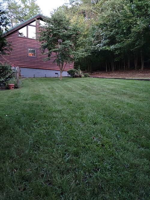 A lawn in Sevierville, TN