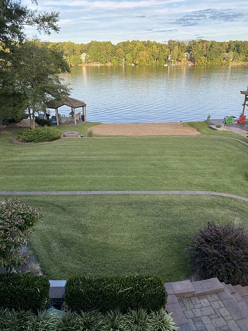 A lawn in NC