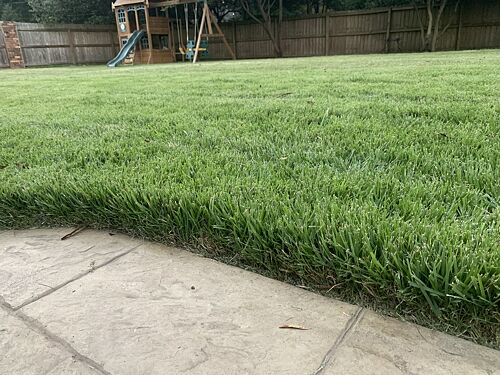 A lawn in Memphis, TN