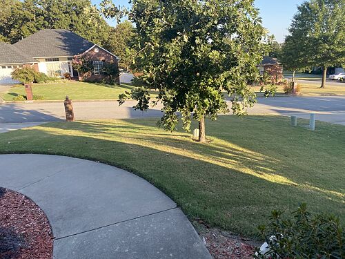A lawn in AR